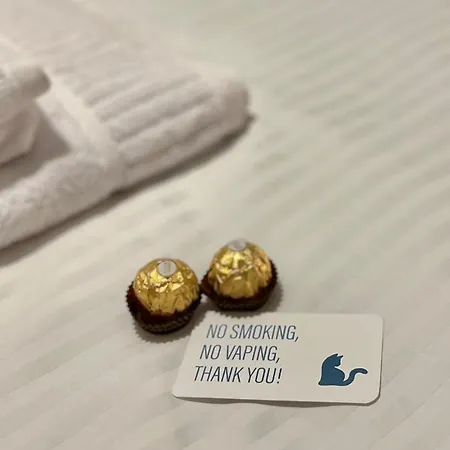 Stella's Park View Apartment Bucharest